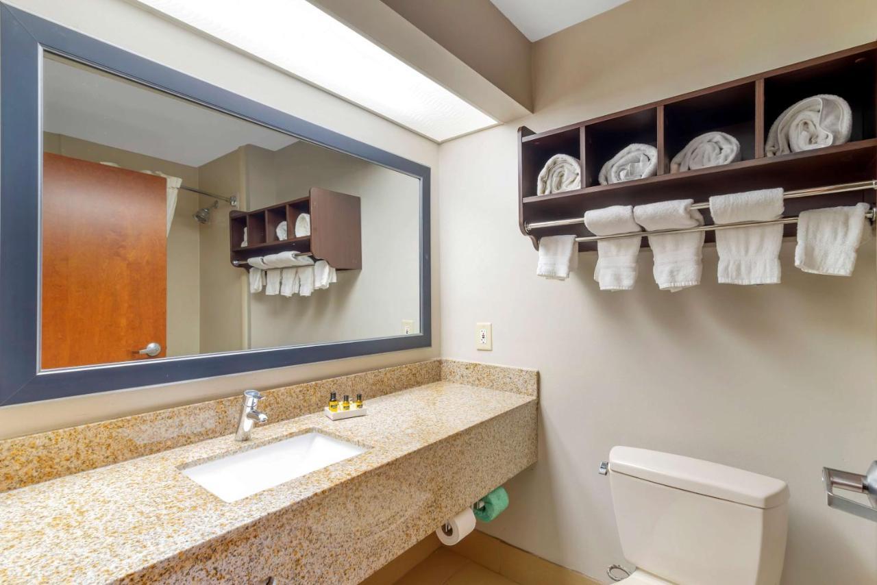 Best Western Plus Mcdonough Inn & Suites Екстер'єр фото